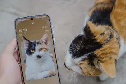 Vesper Kazino Mobilā lietotne